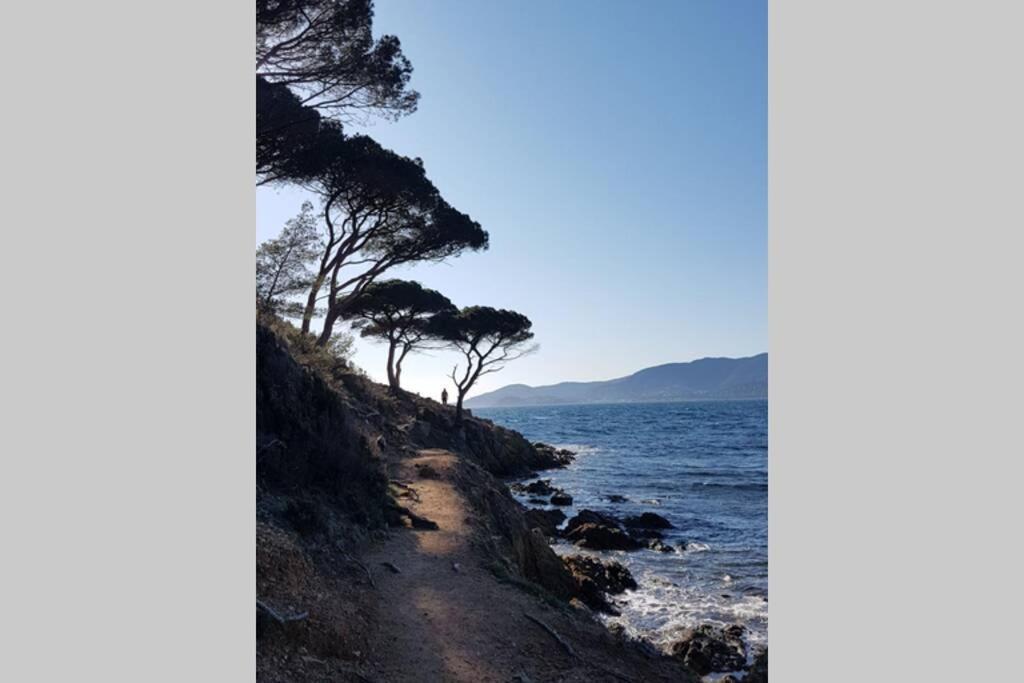 Appartement Deux Pieces , Climatise, Terrase, Cavalaire エクステリア 写真